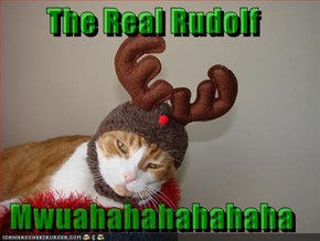 The Real Rudolf  Mwuahahahahahaha