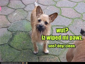 wut? iz wiped mi pawz.