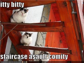 itty bitty  staircase asault comity