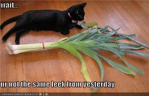 wait...  ur not the same leek from yesterday