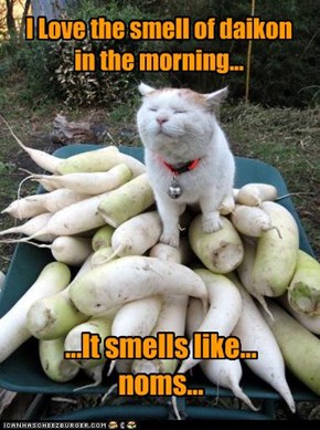 I Love the smell of daikon  in the morning...