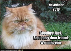 Goodbye Jack. Rest easy dear friend.  We miss you.