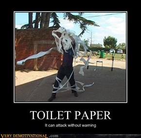 TOILET PAPER