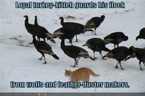 Loyal turkey-kitteh guards his flock  from wolfs and feather-duster makers.
