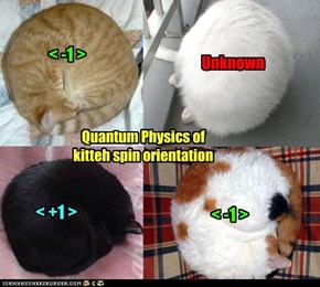 Quantum Physics of kitteh spin orientation