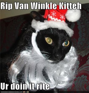 Rip Van Winkle Kitteh  Ur doin it rite