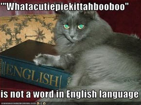 '"Whatacutiepiekittahbooboo"  is not a word in English language