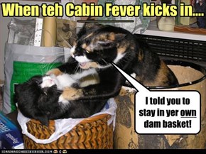 When teh Cabin Fever kicks in....