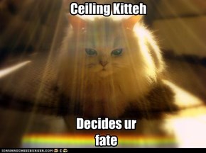 Ceiling Kitteh