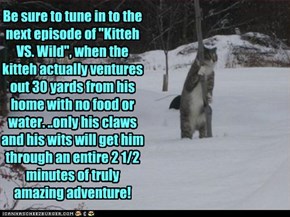 Be sure to tune in to the next episode of "Kitteh VS. Wild", when the kitteh actually ventures out 30 yards from his home with no food or water. ..only his claws and his wits will get him through an entire 2 1/2 minutes of truly amazing adventure!