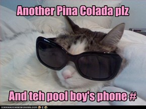 Another Pina Colada plz      And teh pool boy's phone #