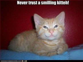 Never trust a smilling kitteh!