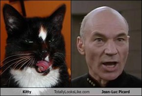 Kitty Totally Looks Like Jean-Luc Picard