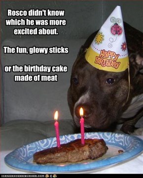 Rosco didn't know which he was more excited about.  The fun, glowy sticks  or the birthday cake made of meat