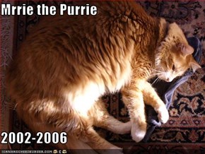 Mrrie the Purrie  2002-2006