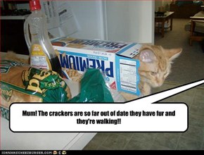 Those crackers should have been thrown out YEARS ago!