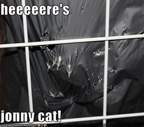 heeeeere's  jonny cat!