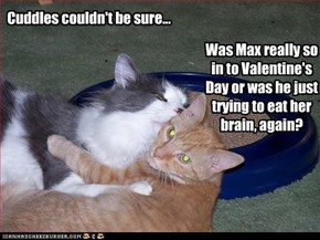 Cuddles couldn't be sure...