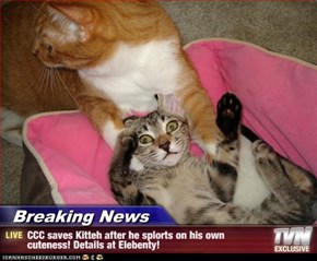 Breaking News - CCC saves Kitteh after he splorts on his own cuteness! Details at Elebenty!