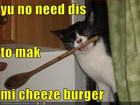 yu no need dis  to mak mi cheeze burger
