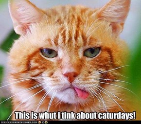 This is whut i tink about caturdays!