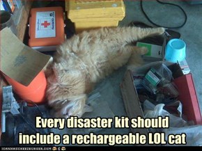 Every disaster kit should include a rechargeable LOL cat