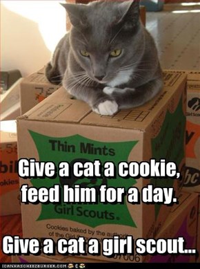 Give a cat a cookie, feed him for a day.   Give a cat a girl scout...