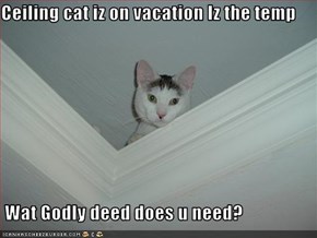 Ceiling cat iz on vacation Iz the temp   Wat Godly deed does u need?
