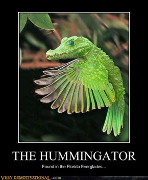 THE HUMMINGATOR