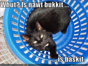 Whut? Is nawt bukkit ...  ... is baskit.