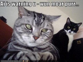 Ai is warning u - wun moar purr...