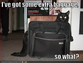 I've got some extra baggage,                                      so what?