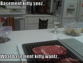 Basement kitty seez..  What basement kitty wantz..