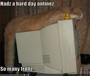 Hadz a hard day onlinez  So many trollz..