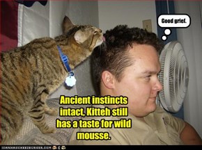 Ancient instincts intact, Kitteh still has a taste for wild mousse.