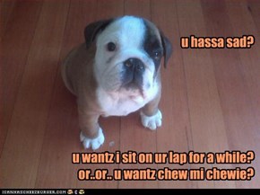 u hassa sad?          u wantz i sit on ur lap for a while? or..or.. u wantz chew mi chewie?