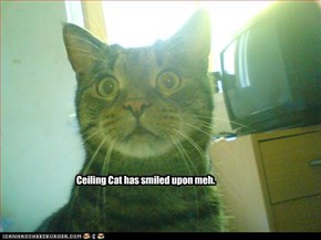 Ceiling Cat has smiled upon meh.