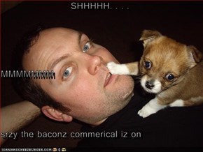 SHHHHH. . . . MMMMMMM srzy the baconz commerical iz on
