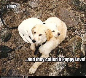 ...and they called it Puppy Love