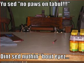 Yu sed "no paws on tabul!!!"  Dint sed nuthin' 'bout eyez...