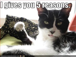 I gives you 5 reasons.