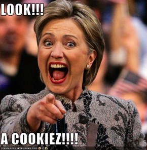 LOOK!!!  A COOKIEZ!!!!