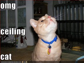 omg ceiling cat