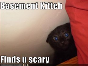 Basement Kitteh  Finds u scary