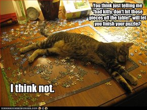 You think just telling me "bad kitty, don't hit those pieces off the table!" will let you finish your puzzle?