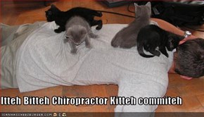 Itteh Bitteh Chiropractor Kitteh commiteh