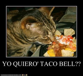 YO QUIERO' TACO BELL??