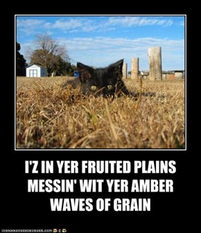 I'Z IN YER FRUITED PLAINS MESSIN' WIT YER AMBER WAVES OF GRAIN