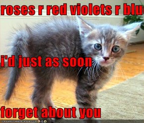 roses r red violets r blue... i'd just as soon  forget about you
