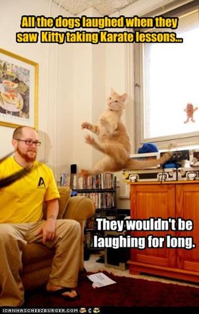 All the dogs laughed when they saw  Kitty taking Karate lessons...